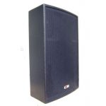 Enceinte Q110 C2R AUDIO