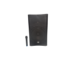Enceinte Amplifiée MACMAH 300w